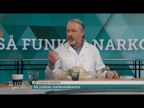 Så funkar narkos – narkosläkare Claes Gedda förklarar - Malou Efter tio (TV4)