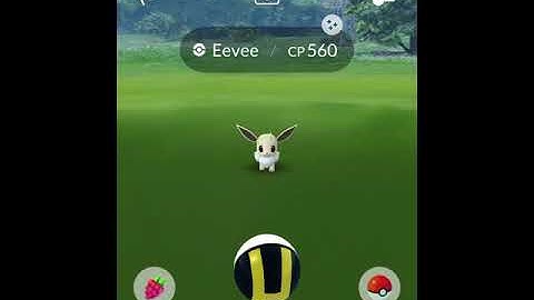 Eevee community day Pokémon go. I’ve caught a shiny Eevee!!!!