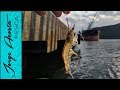 Pesca con CAMARON VIVO en MUELLE -  pesca de pargo