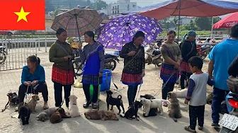 Exploring Traditional Vietnamese Markets | A Journey Through Culture