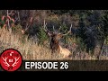 Shane's Elk Hunt of a Lifetime (Destination Elk V3 - Episode 26)