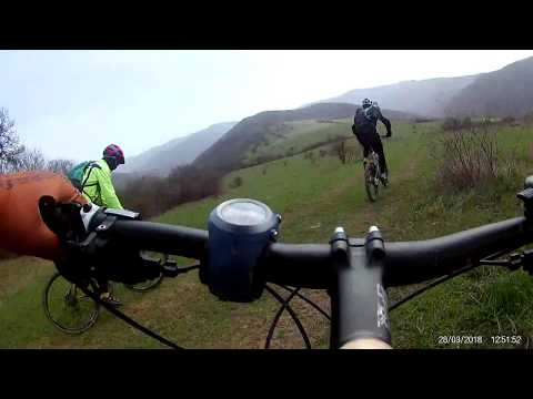 მდელოზე დაშვება