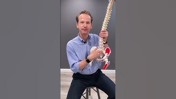 Controlling Your Center of Mass #balance #feldenkraismethod #walking