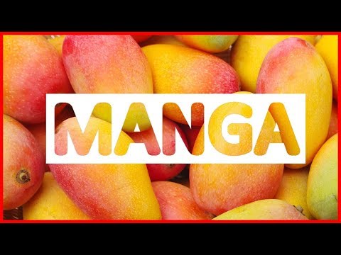 Os 15 Benefícios da Manga Para Saúde | Dicas de Saúde