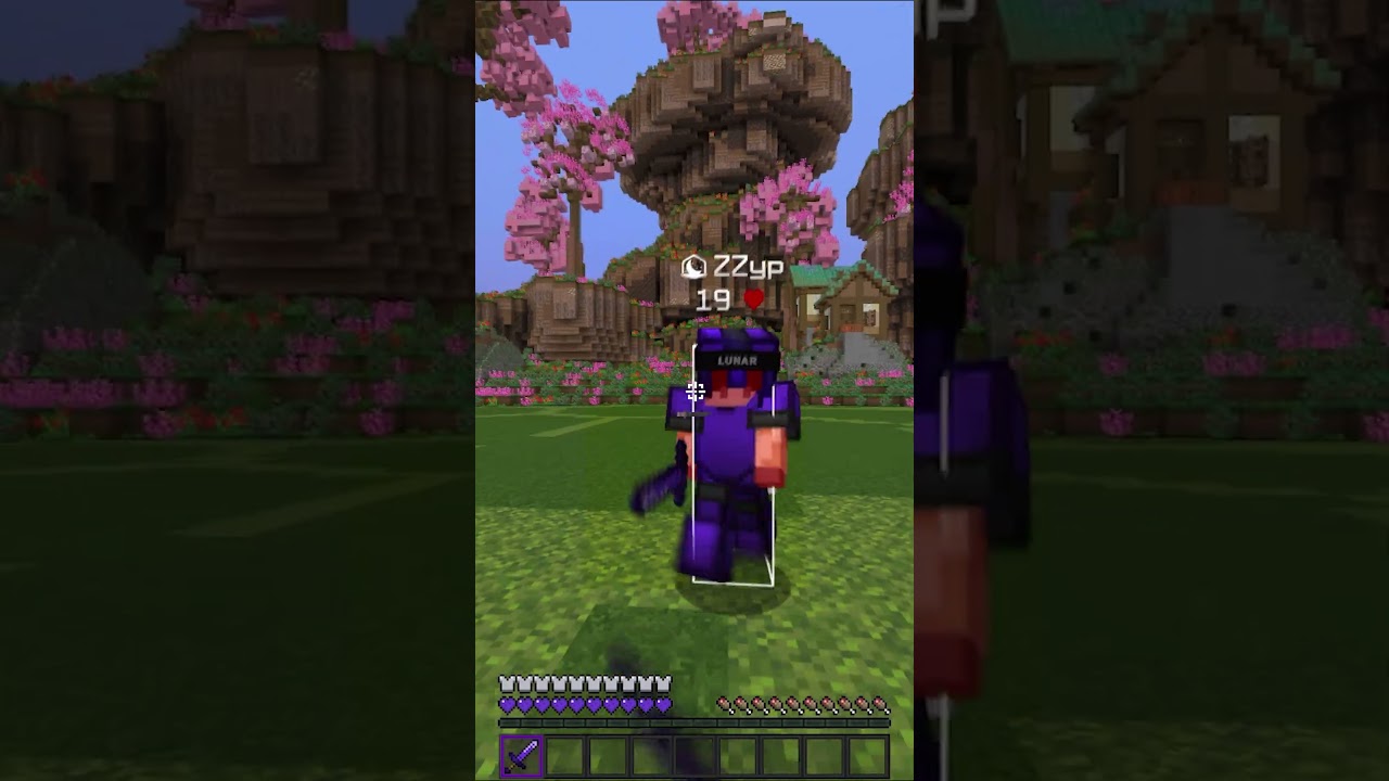 Minecraft PVP Combo On Toxic Player 🤣