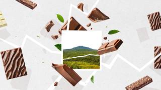 Jojomoto – Impact Film 'Sustainable Cocoa Supply Chains'