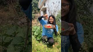 cherry Tomatoes 🍅#minivlog #homegarden #harvest #vegetables