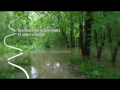 Chantier de renaturation de l'Yvette à Saint-Rémy-lès-Chevreuse