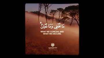 حالات واتس قرآن كريم بصوت طارق محمد