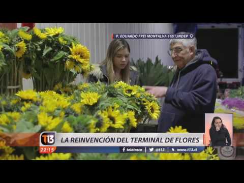 Video: Preocupaciones Invernales De La Floristería