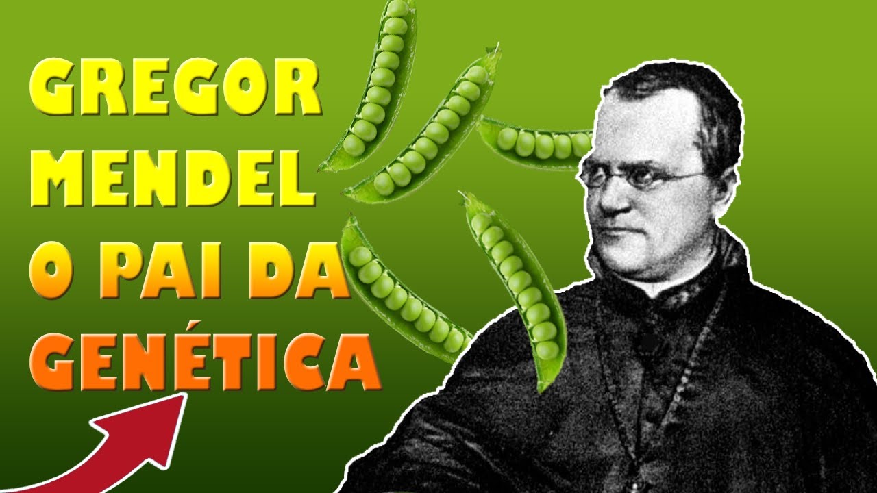 Quem é O Pai Da Genetica - RETOEDU