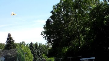 hobbyzone champ little loop ang crash