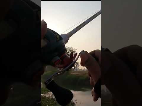 ผลสลากกินแบ่งรัฐบาล วันที่ 1 พย. 2567