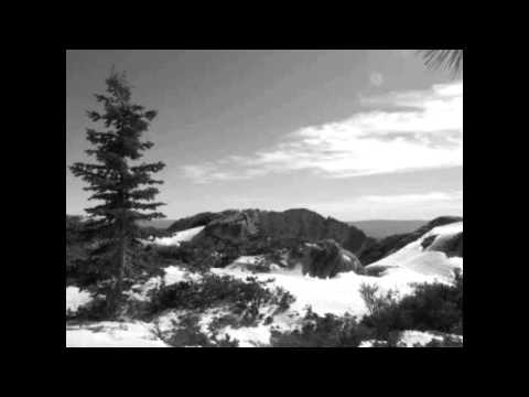 Exiled From Light The Bitter Taste Of Tears