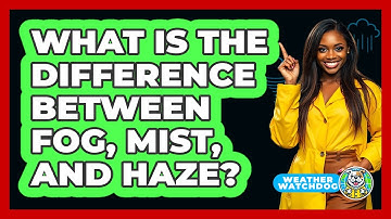 What Is The Difference Between Fog, Mist, And Haze? - Weather Watchdog