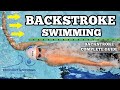  complete guide on the efficient backstroke easy back total immersion swimming