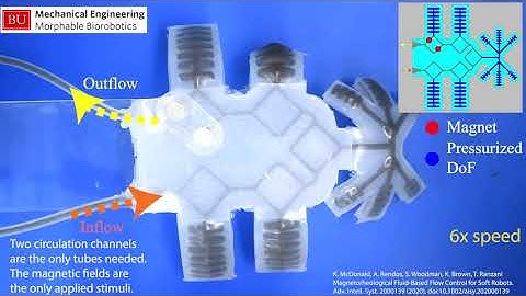 Soft robot controlled using MR fluids