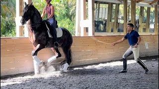 Dr Cesar Parra - A Former Olympic rider pt.2