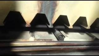 IMG 5544