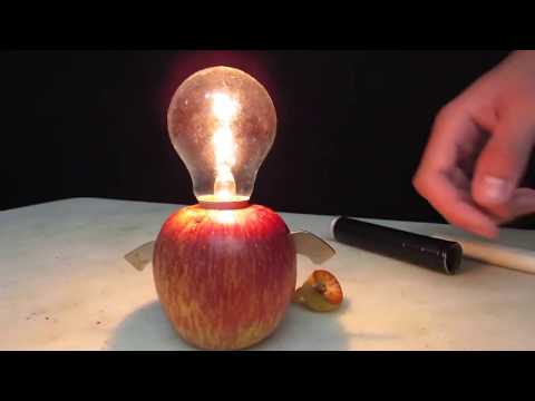 تجارب علمية للاطفال - ضوء بسيط  من التفاح
