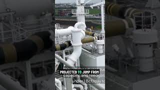 The Rise Of Us Lng Exports