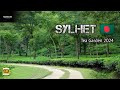 Biggest tea garden  sylhet  travel 2024  beautiful bangladesh  travelon