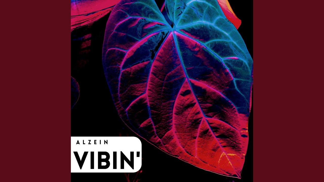 Watch Vibin' on YouTube Watch Vibin' on YouTube