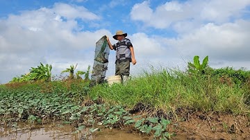 A Poor Boy’s Lucky Trap – Tons of Fish and a Perfect Crispy Fry