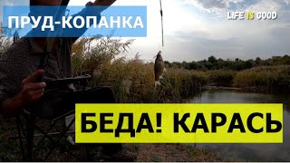 БЕДА! Пруд-копанка под угрозой! Поселился серебряный карась.