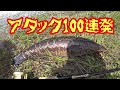【雷魚釣り】未公開映像。今まで撮り貯めたボツ動画、アタックシーン全て魅せます。モンスター雷魚100連発Japan snake head fishing