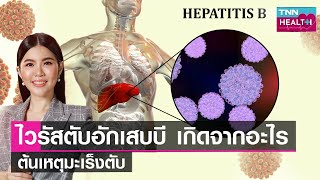 ไวรัสตับอักเสบบี ต้นเหตุมะเร็งตับ เกิดจากอะไร : TNN Health