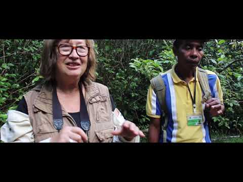 Video: Ranomafana National Park: de complete gids
