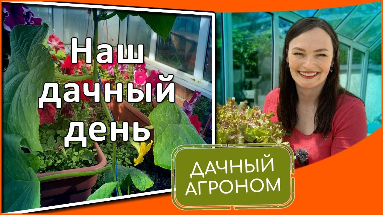 Минеральная ценность огурцов