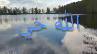 Download Lagu Allahu Hayyun | Aicp Madih | الله حي MP3