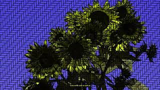 Harnoor - Flowers (Official Visualiser)
