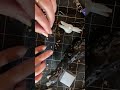 Dopamine & Clay Dragon Teeth