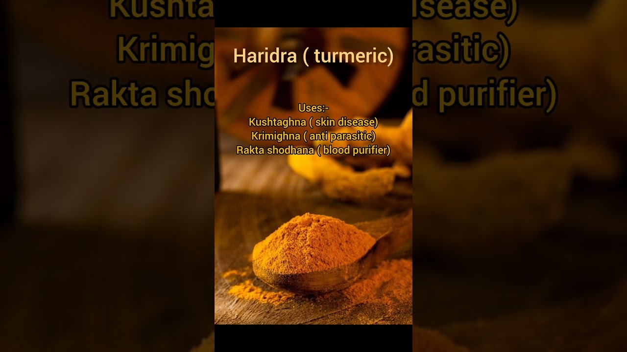 Top 5 herbs every bams student  know...