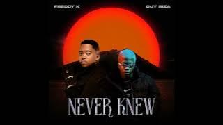 Freddy K & Djy Biza – Never Knew - AMA Hits 🔥🔥🔥