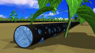 ROOTS IBC Technology