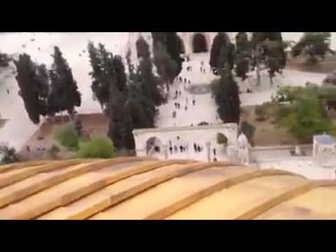 من اعلى مسجد قبة الصخرة المشرفة