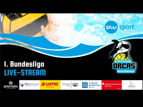 🏐 1st Bundesliga Water Polo | Potsdam Orcas vs. Spandau 04 | Matchday 8 | Live from Potsdam