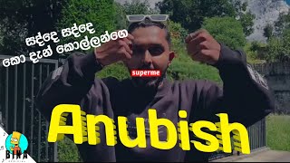 Anubish Rap | අනුබිශ් | සද්දෙ සද්දේ කො දැන් කොල්ලන්ගේ | Bina Official Resimi