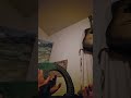 My Beautiful Lyre Harp 😇🤙🧬🎶🎶🎶🧠