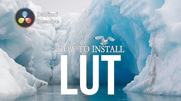 How to Add LUT (Look Up Table) in DaVinci Resolve 16 - CUBE, 3DL