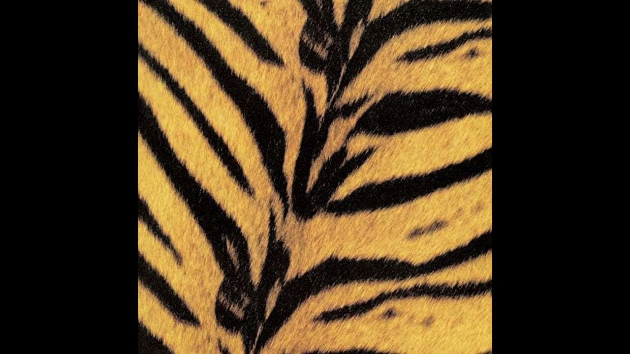 THE HIGH-LOWS - アレアレ