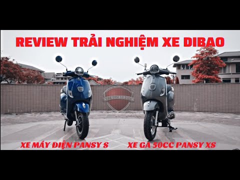 Video: Hướng dẫn về Bệnh Pansy: Nhận biết và Điều trị Các triệu chứng Bệnh Pansy