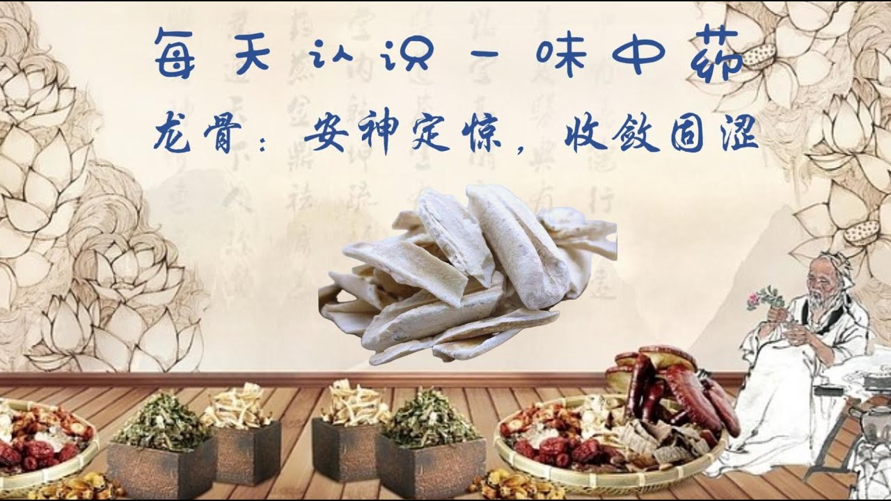 每天认识一味中药--龙骨 | 安神定惊，收敛固涩的沉静之药 - YouTube