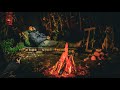 Building Bushcraft Survival Shelter | Trail Camera Capture | Wildlife | Campfire Cooking