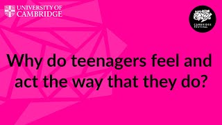 Adolescent mental health and development with Chris Mann and Professor Sarah Jayne Blakemore