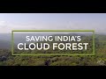 Weforest  saving indias cloud forest